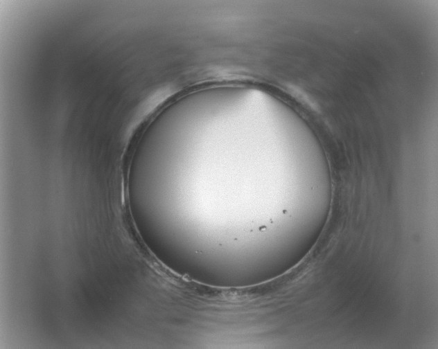 X0000066941269200604071903