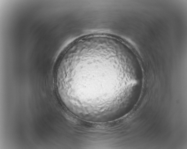 X0000066941271200604071903