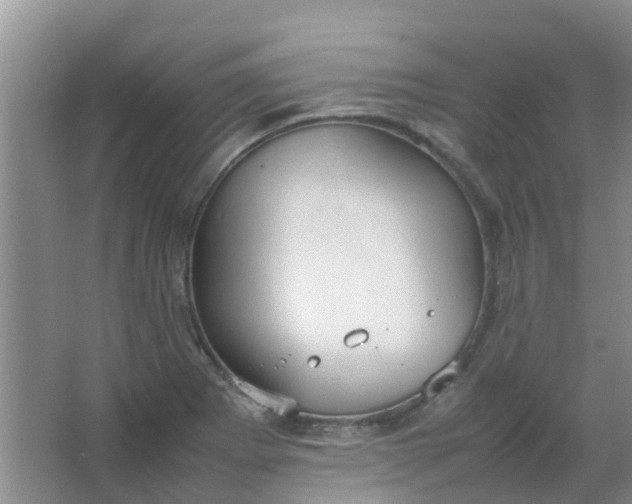 X0000066941273200604071903