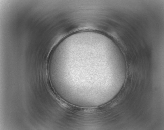 X0000066941274200604071903