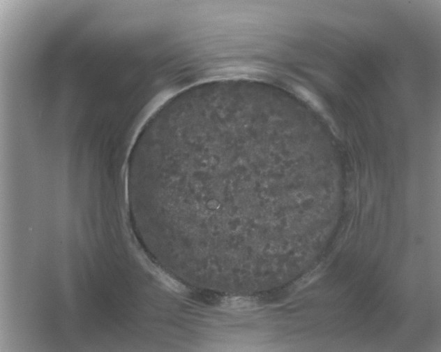 X0000066941275200604071903