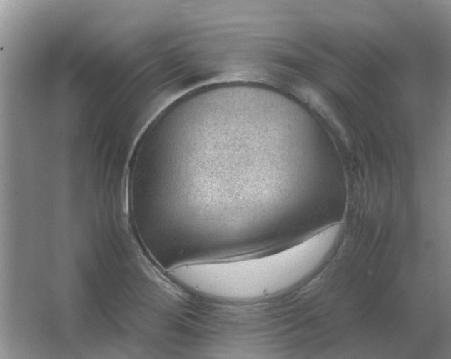 X0000066941276200604071903