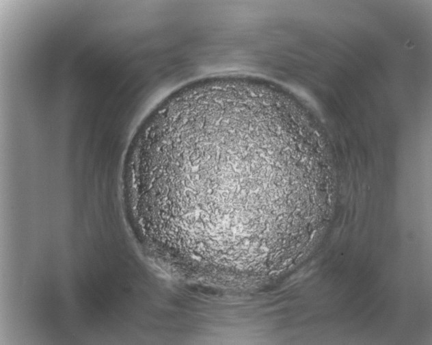 X0000066941279200604071903