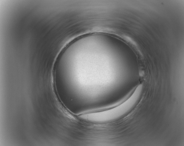 X0000066941280200604071903