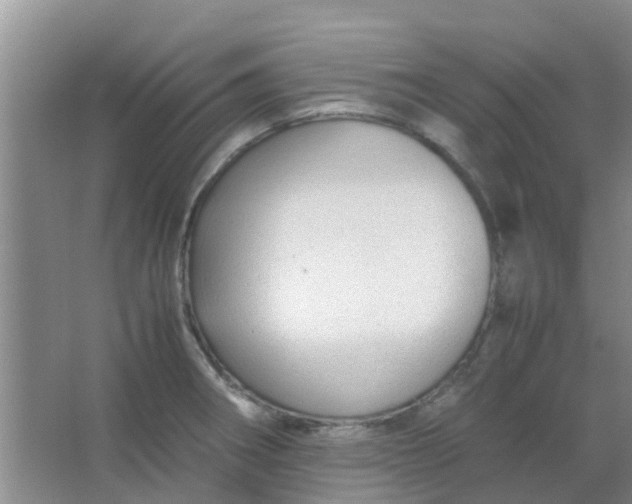 X0000066941282200604071903