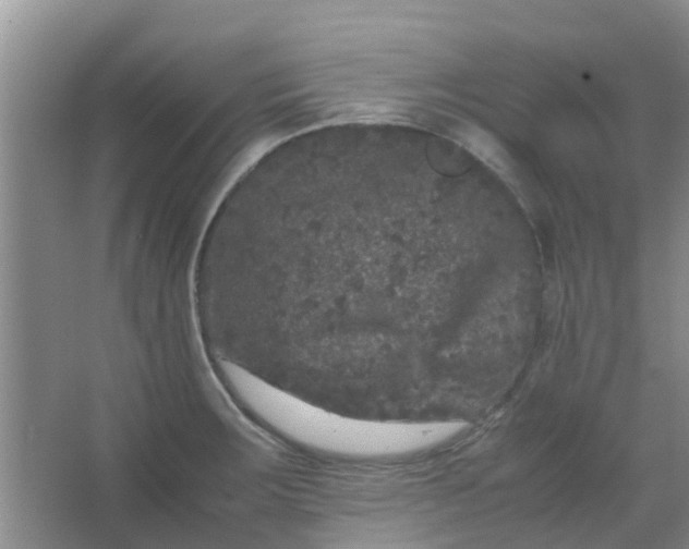 X0000066941283200604071903