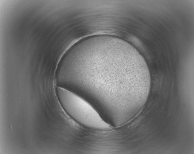 X0000066941284200604071903