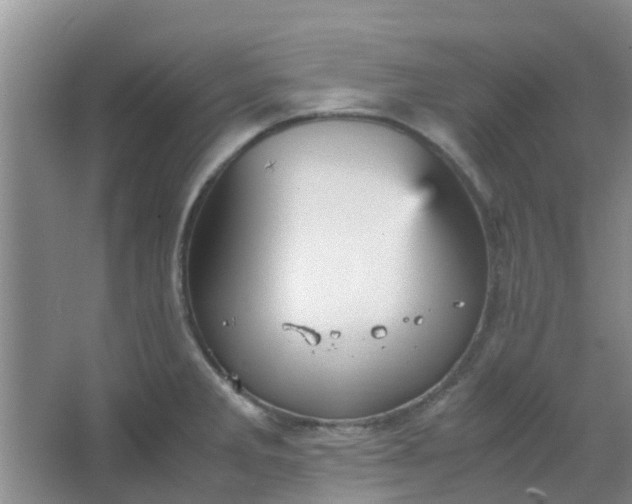 X0000066941285200604071903