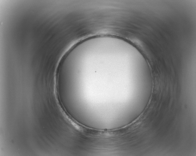 X0000066941286200604071902