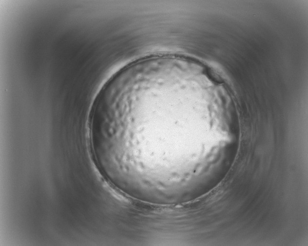 X0000066941287200604071902