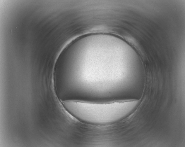 X0000066941288200604071902