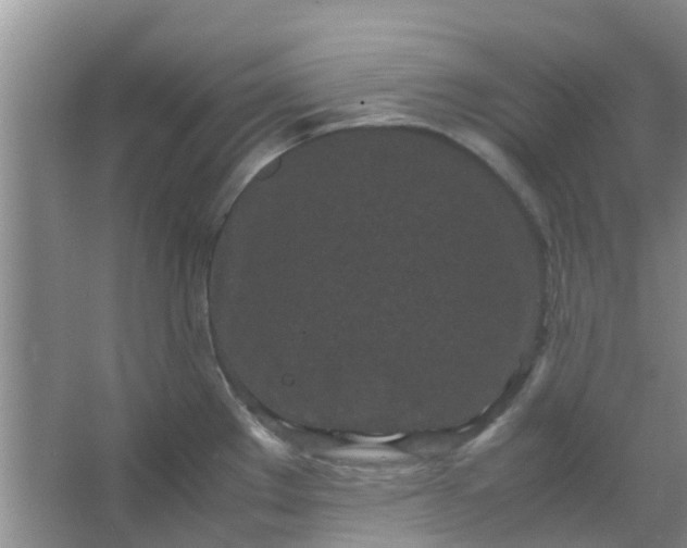 X0000066941289200604071902