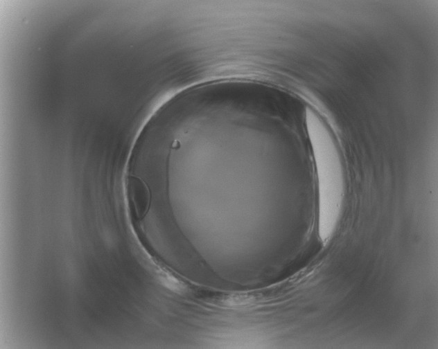 X0000066941291200604071902