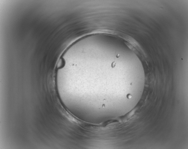 X0000066941292200604071902