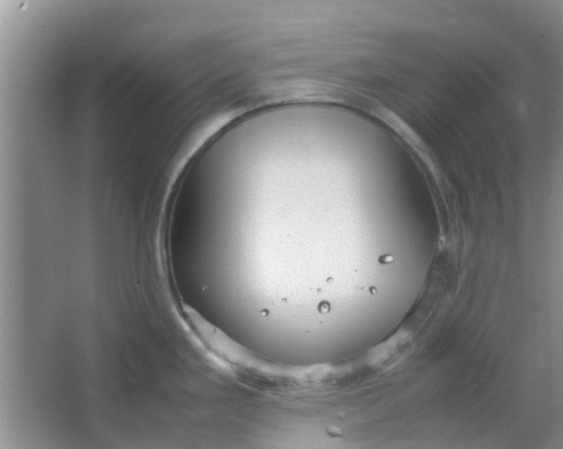 X0000066941293200604071902