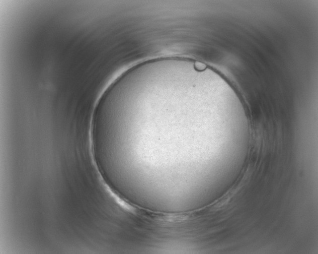 X0000066941294200604071902