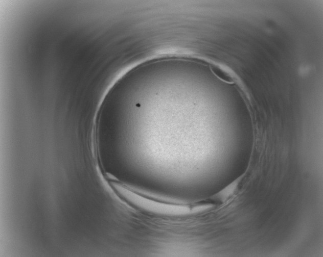 X0000066941295200604071902