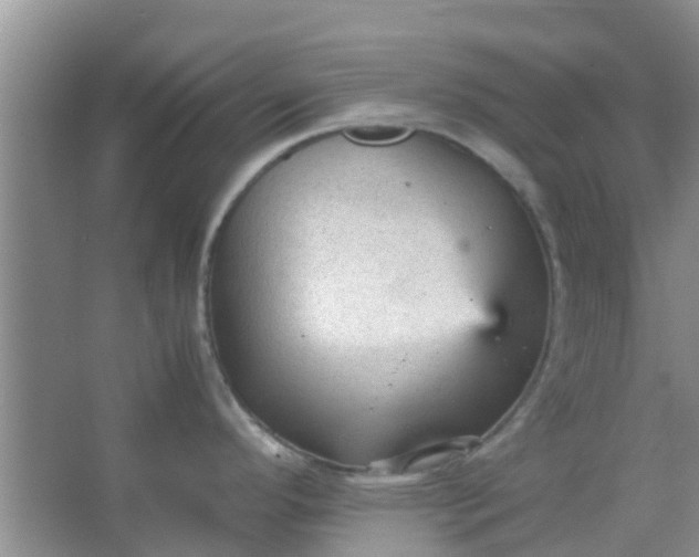 X0000066941296200604071902