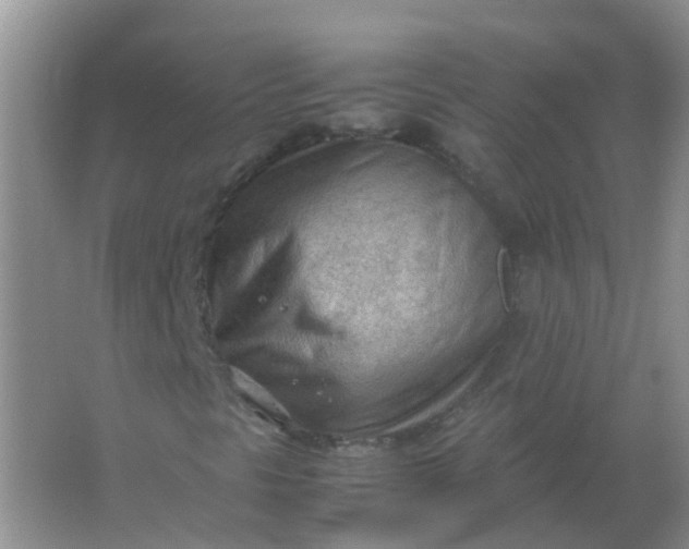 X0000066941297200604071902