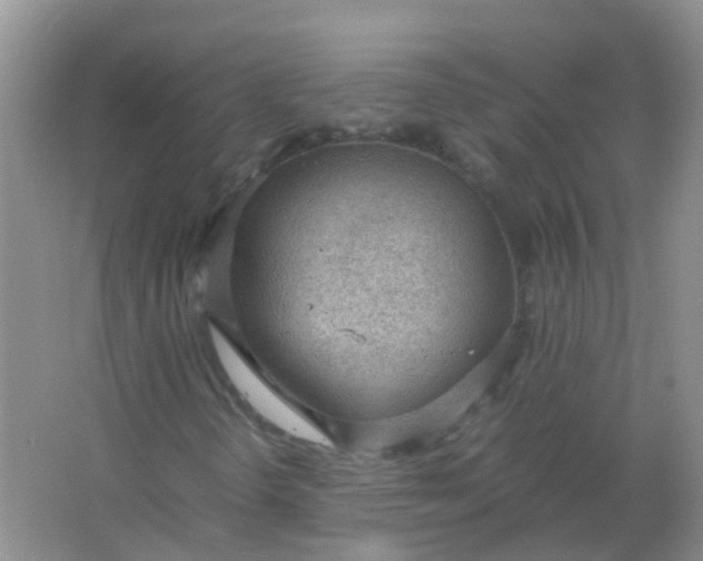 X0000066941298200604071902