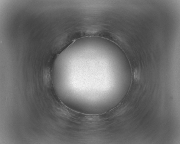 X0000066941299200604071902