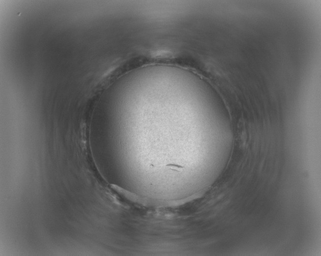 X0000066941301200604071902