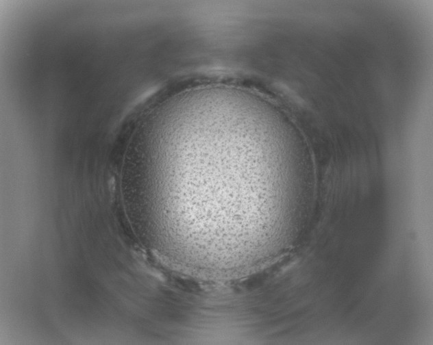 X0000066941302200604071902