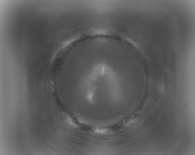 X0000066941303200604071902