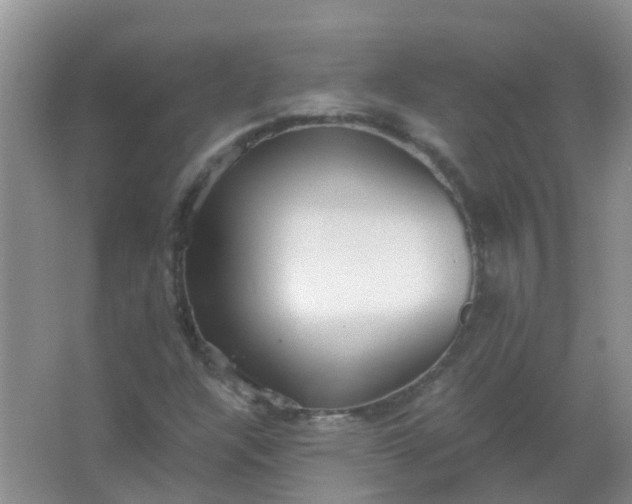 X0000066941304200604071902