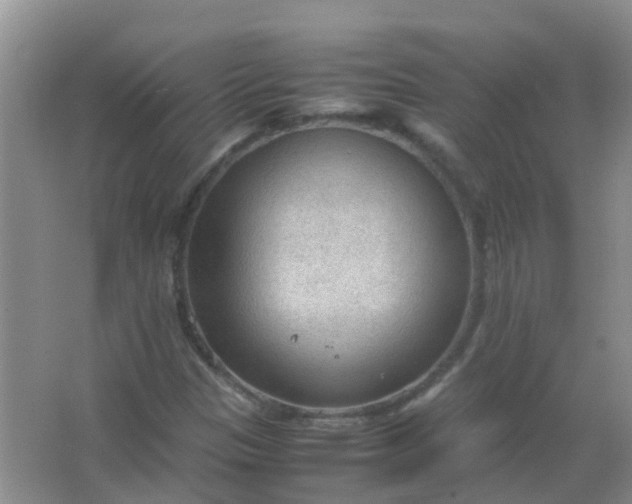 X0000066941305200604071902