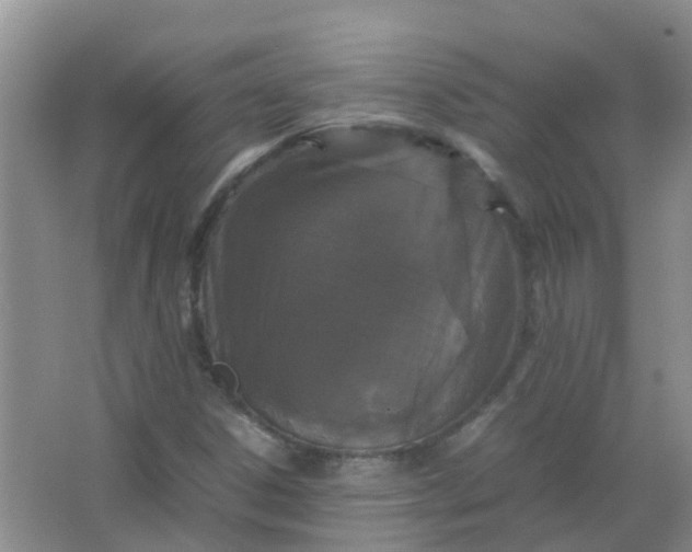 X0000066941306200604071902