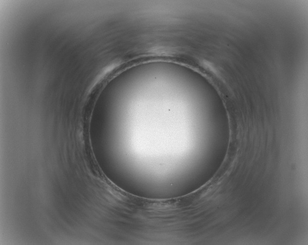 X0000066941307200604071902