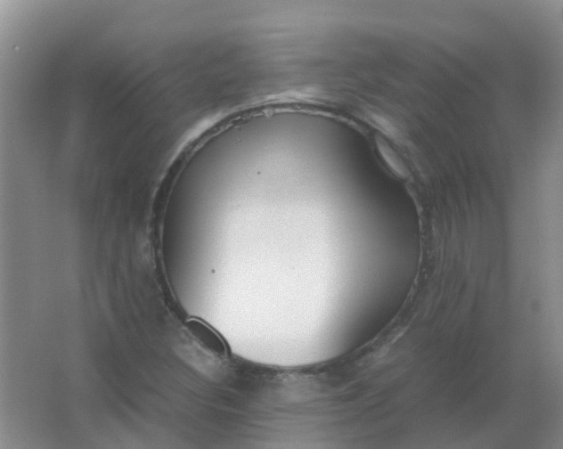 X0000066941308200604071902