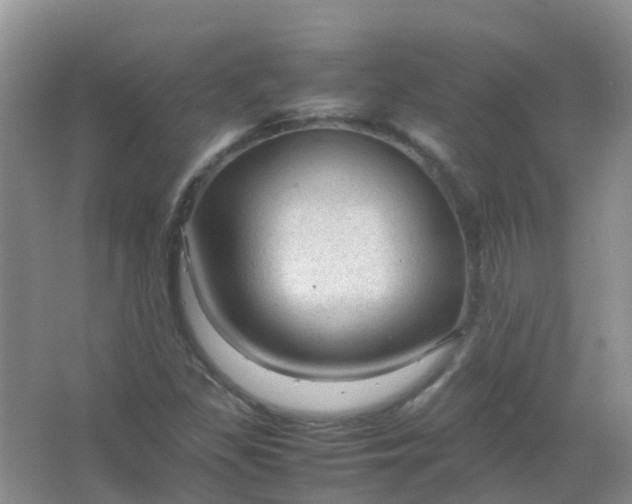 X0000066941309200604071902