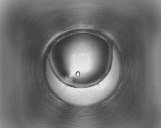 X0000066941310200604071902