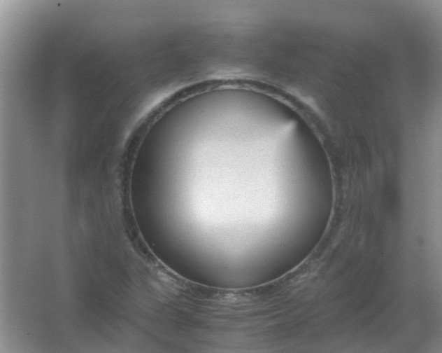 X0000066941311200604071902