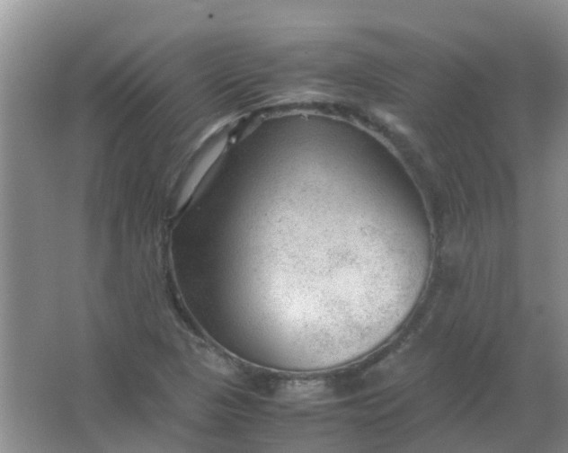 X0000066941313200604071902