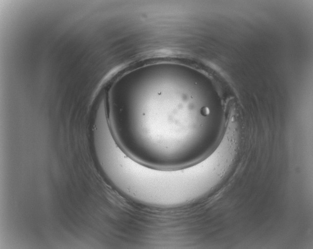 X0000066941314200604071902