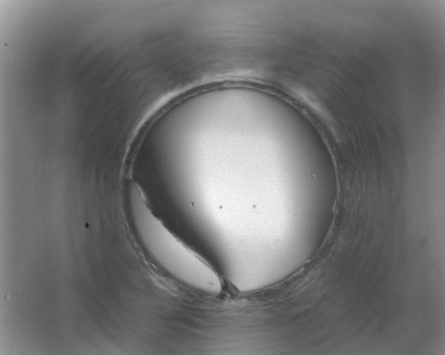 X0000066941316200604071902