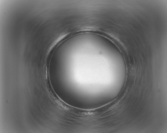 X0000066941317200604071902