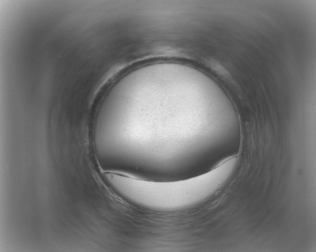 X0000066941318200604071902