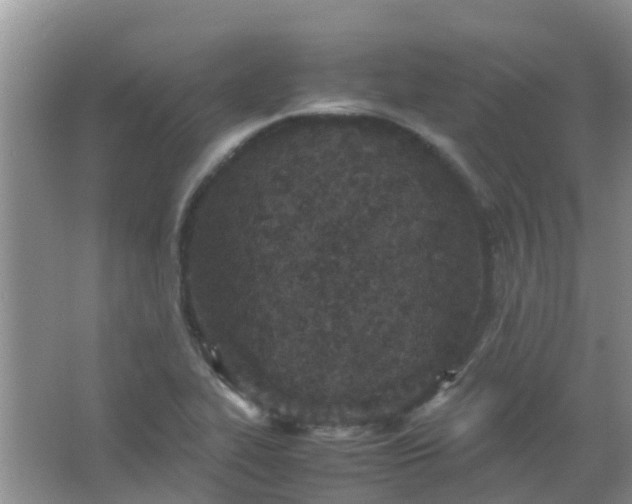 X0000066941319200604071902