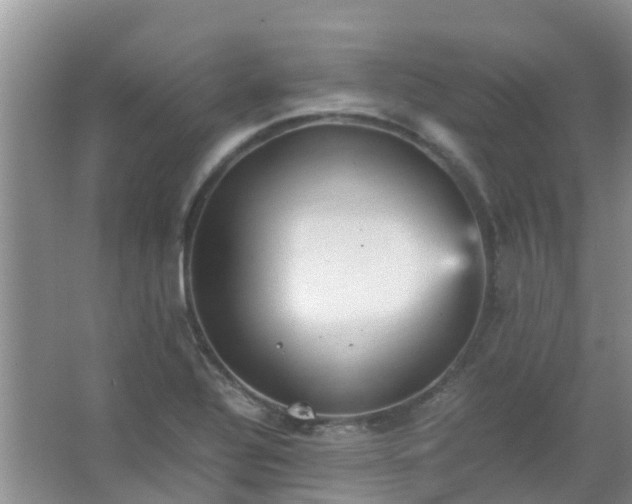 X0000066941320200604071902