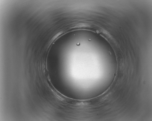 X0000066941321200604071902