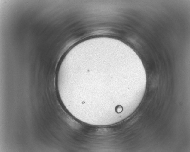 X0000066941322200604071902