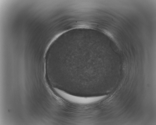 X0000066941323200604071902