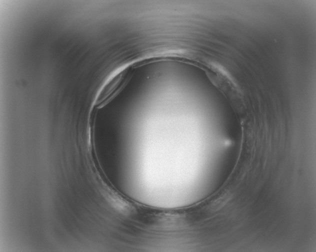 X0000066941324200604071902