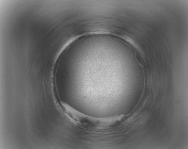 X0000066941325200604071902