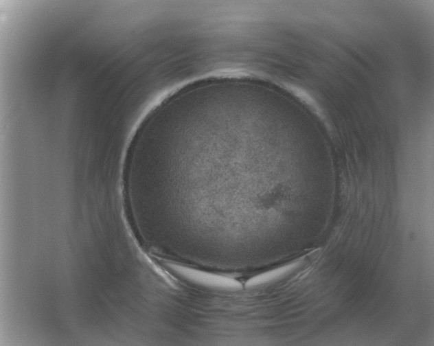 X0000066941327200604071902