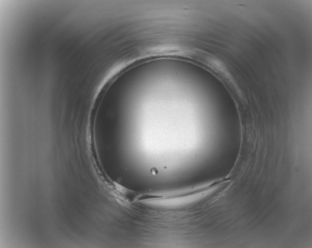 X0000066941328200604071902